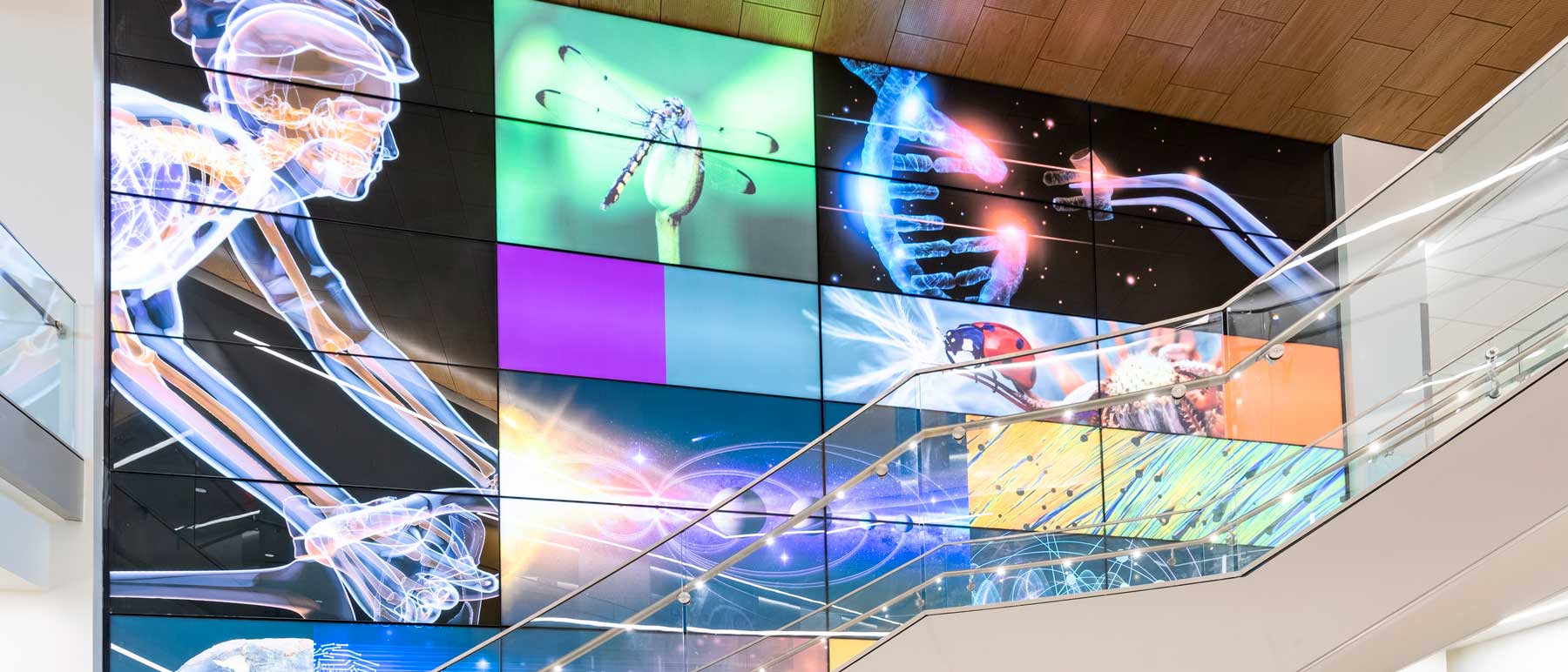 lobby mural along the staircase at the college of humanities and sciences stem building at v.c.u. depicting various stem disciplines